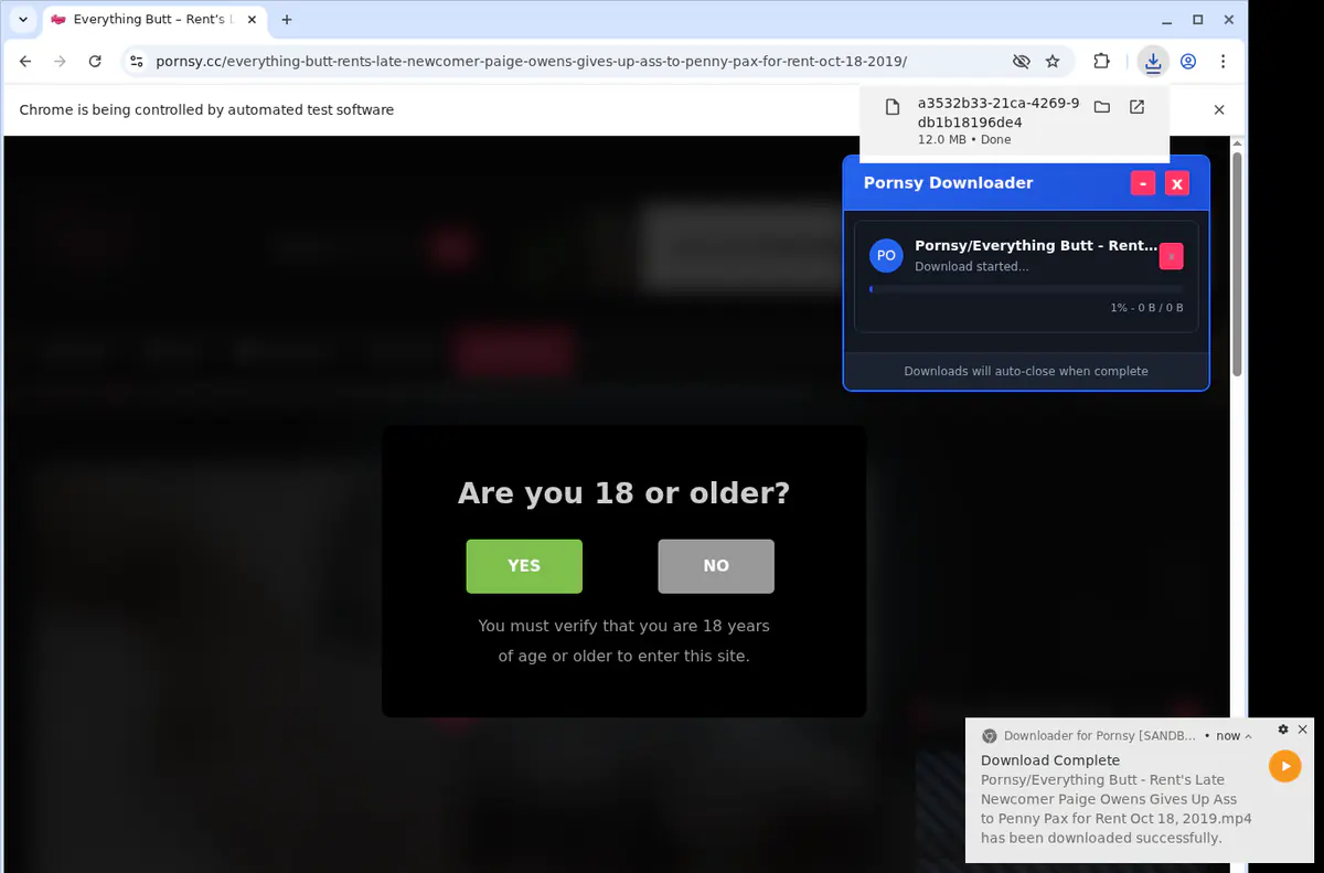 Pornsy Video Downloader screenshot 2
