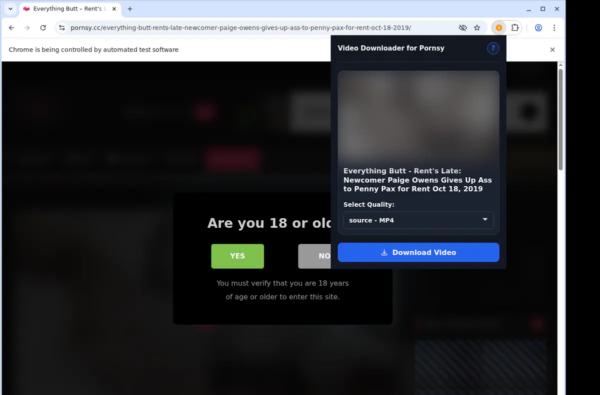 Pornsy Video Downloader screenshot 3