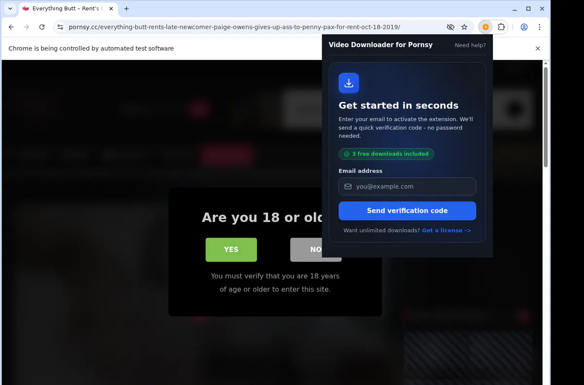 Pornsy Video Downloader screenshot 5